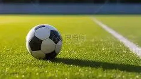 开云体育网址 产品 091506 xxg