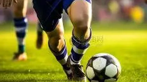 开云体育网址 资讯 085055 1np