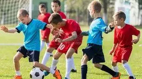 开云体育网址 资讯 085515 b68