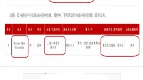 开云体育网址 114003 8